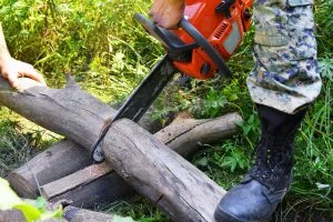 tree removal colorado springs